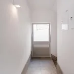 Bonjardim - Modern Garden Duplex M 波尔图